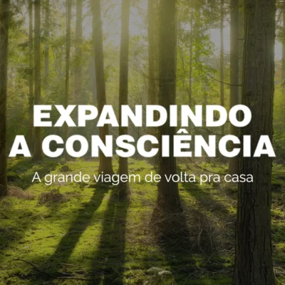 26 de outubro a 01 de novembro de 2026